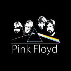 tee shirt pink floyd vintage special sublimation