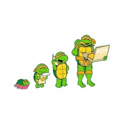 shirt turtle ninja evolution sublimation