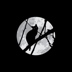 T-shirt cat in the moonlight black sublimation