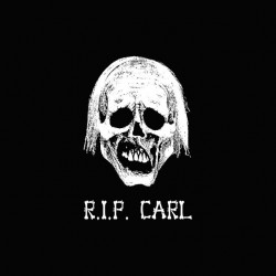 Tee shirt The Walking Dead RIP Carl  sublimation