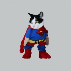 Supercat parody Superman gray sublimation t-shirt
