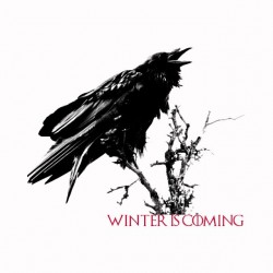 Winter is coming raven Game of Thrones white sublimation t-shirt
