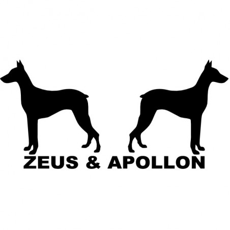 T-shirt Zeus & Apollo Magnum white sublimation
