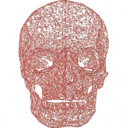 Urban trendy t-shirt Head skull Head skull red white sublimation
