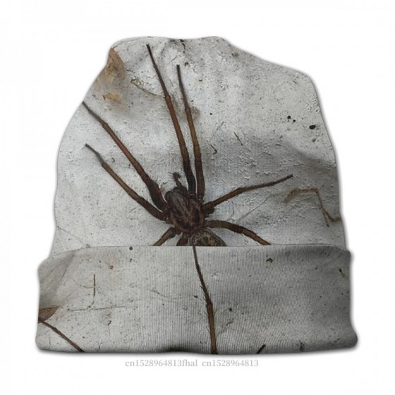 spider winter hat 3d effect unisex