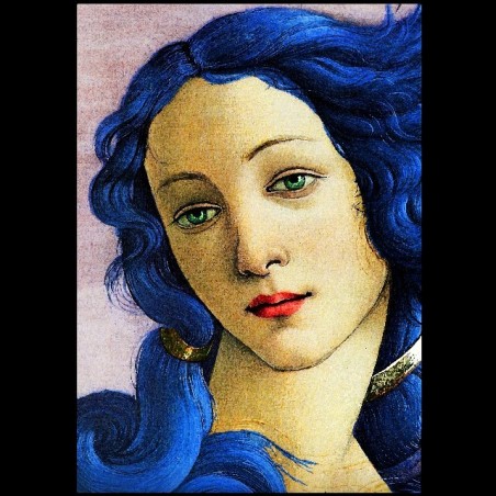 Venus de Botticelli 't-shirt by brett66 black sublimation