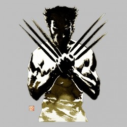 t-shirt character wolverine 2 gray sublimation
