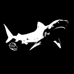 SHARK974 shark t-shirt white on black sublimation