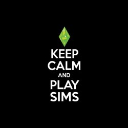Tee shirt Keep Calm and play Sims  sublimation