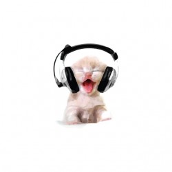 Baby cat t-shirt with headphone that meows white sublimation
