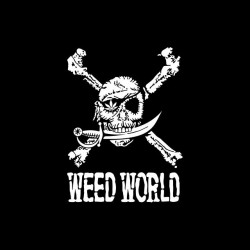 T-shirt Weed World Jolly Roger black sublimation