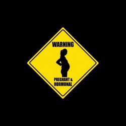 Tee shirt Warning Pregnant...