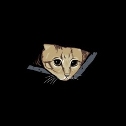 Curious cat black sublimation t-shirt