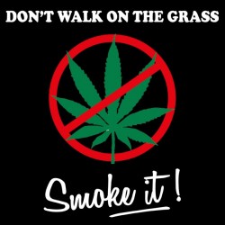Do not Walk On The Grass t-shirt, Smoke it black sublimation