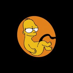 Homer Simpson fetus shirt black sublimation