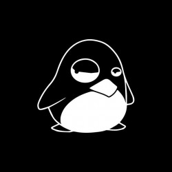 Tee shirt Pingouin Linux  sublimation
