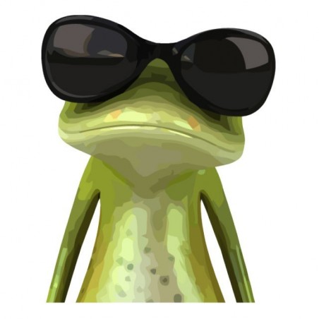 Tee shirt grenouille cool  sublimation