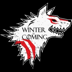 winter is coming t-shirt new version black sublimation