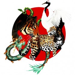 tee shirt five shaolin animals logo  sublimation