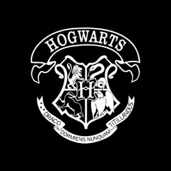 tee shirt hogwarts harry potter  sublimation