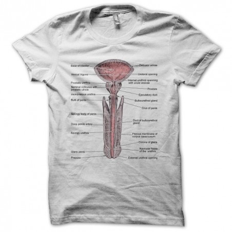 Penis Anatomy white sublimation t-shirt