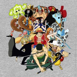 tee shirt One Piece the troupe gray sublimation